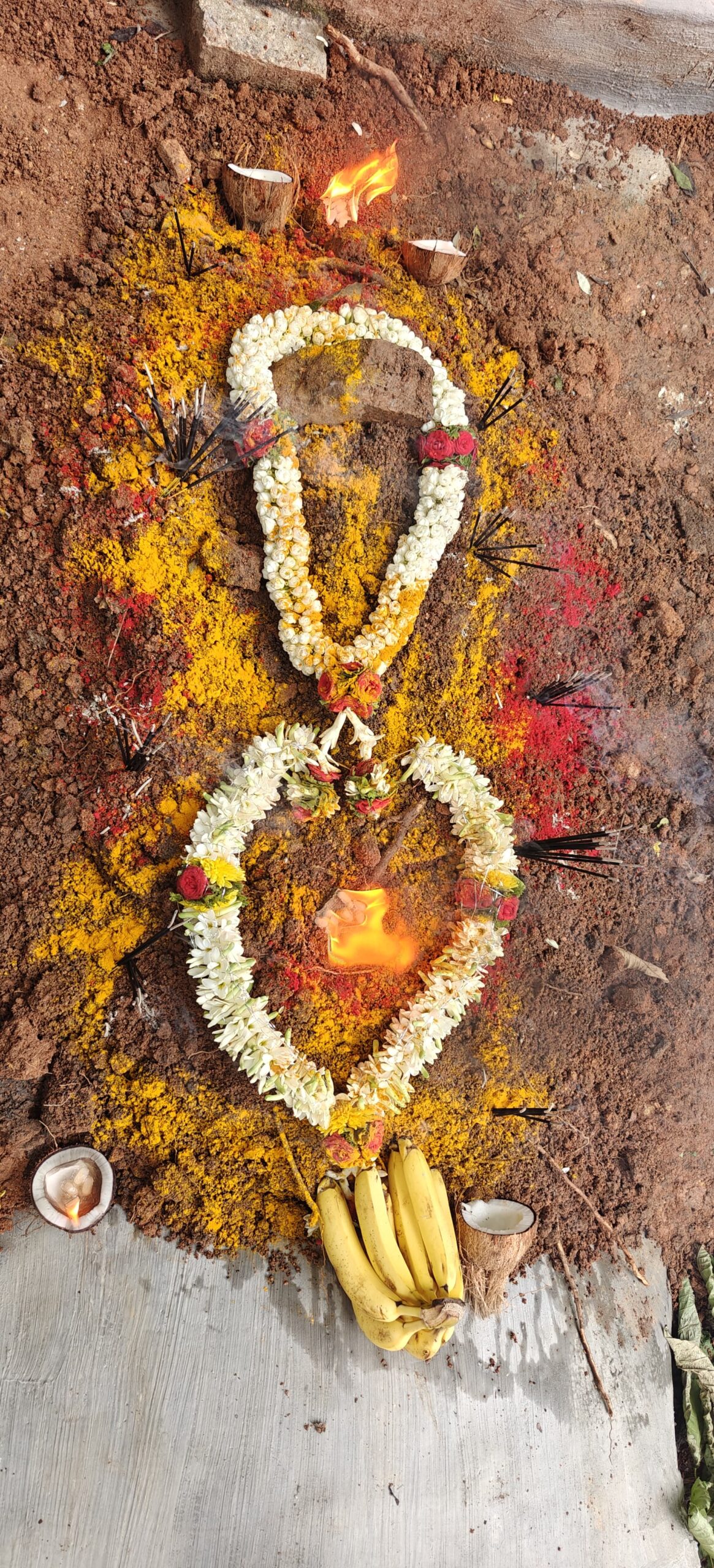 pet funeral services in bengaluru