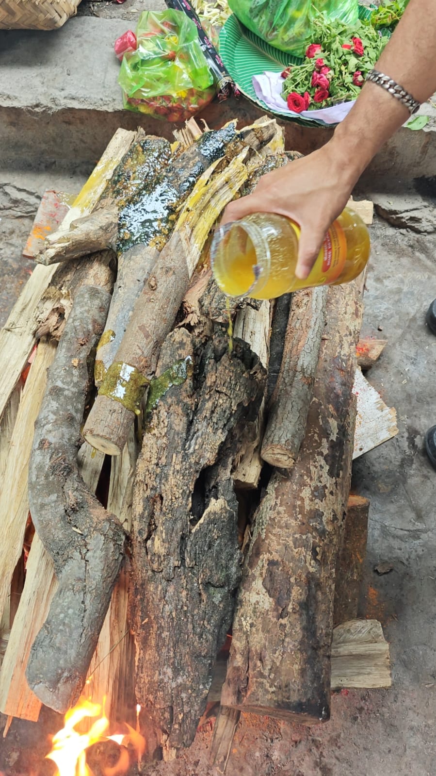 pet funeral services in bengaluru