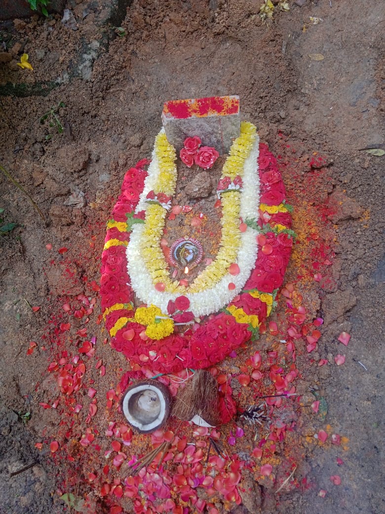 sadguru dog & cat cremation funeral services bengaluru