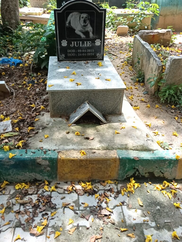 Pet Cremation & burial services in bengaluru