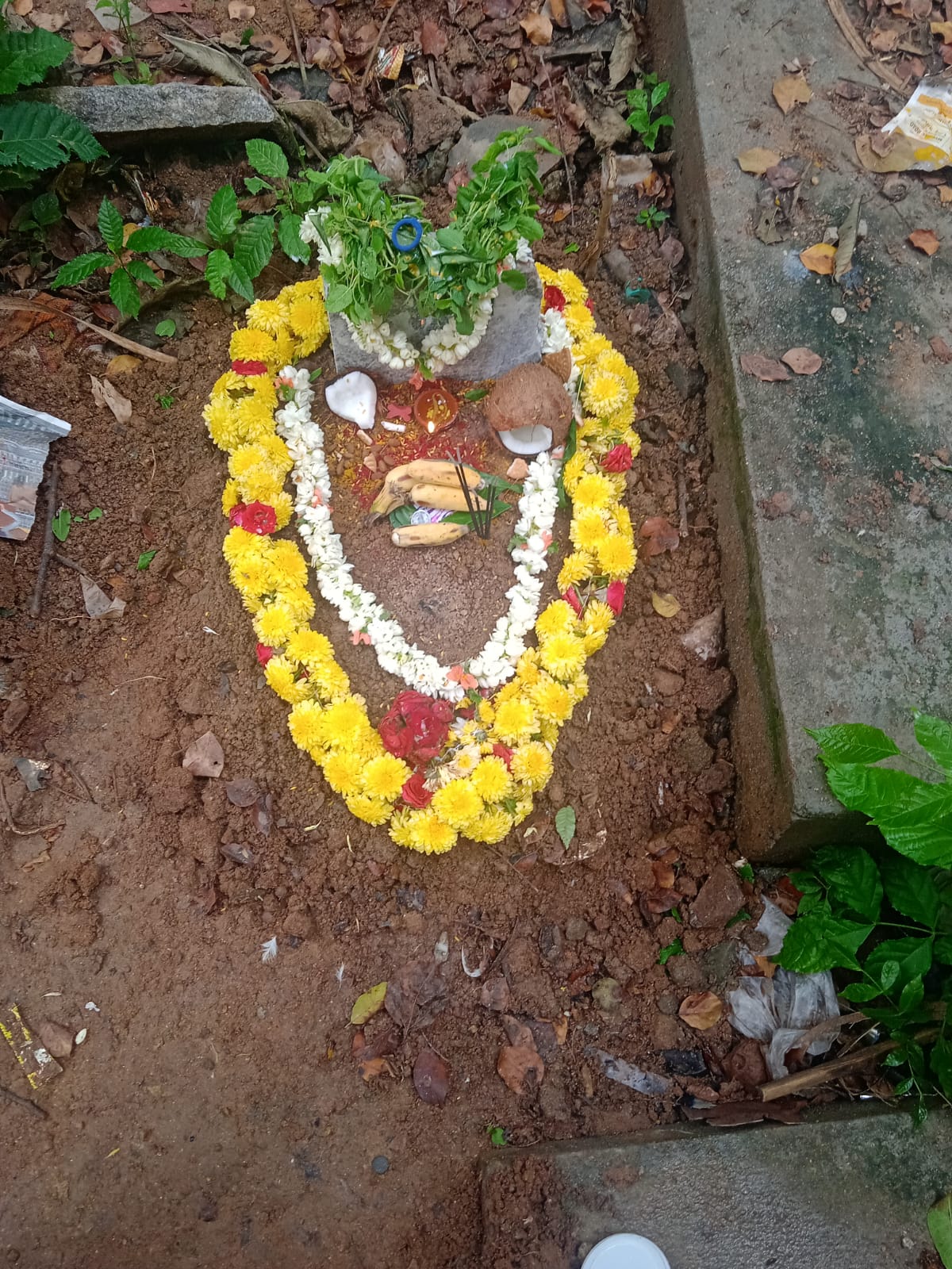 sadguru dog & cat cremation funeral services bengaluru
